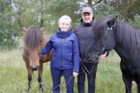 Islannissa hevonen saa olla hevonen