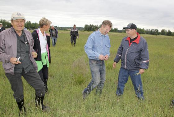 Heinäkuussa voidaan ehkä jo puida