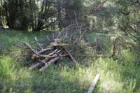 Maisemanhoitajat odottavat pääsevänsä töihin