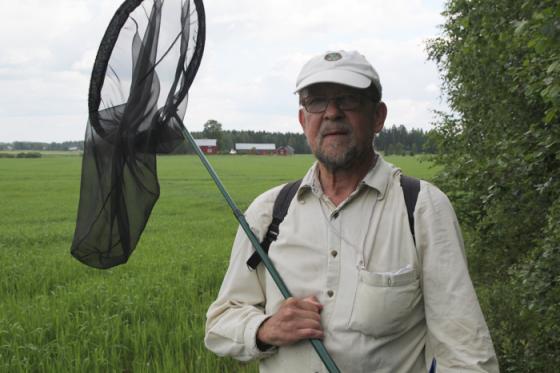 Peto tuli vastaan metsäpolulla Hakkilassa