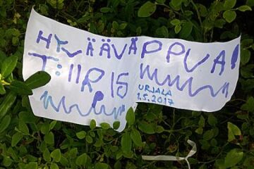Iiriksen vapputervehdys