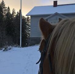 Suomalaisuutta parhaimmillaan