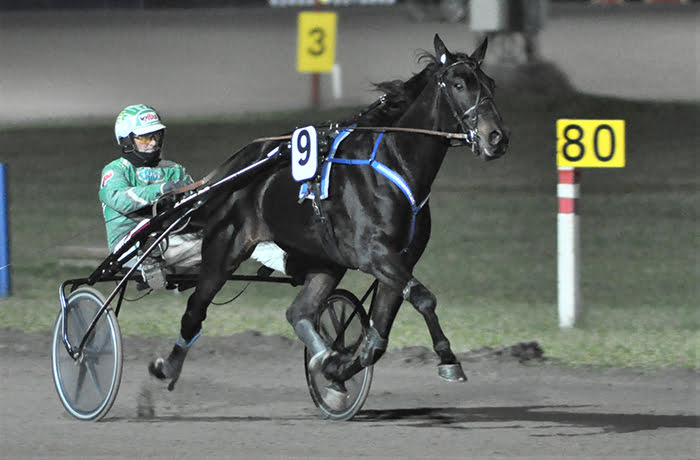 Sahara Peyote derbykolmonen