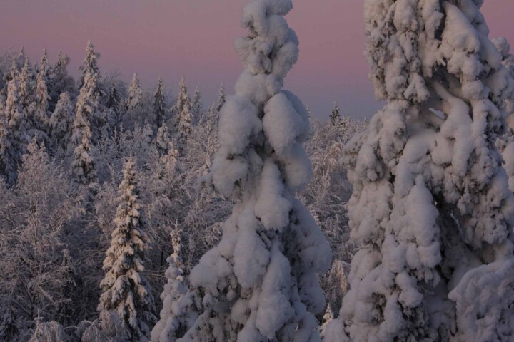 luontojuttu talvi cJorma Nummela 1.1