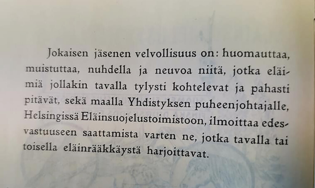 esy säännöt