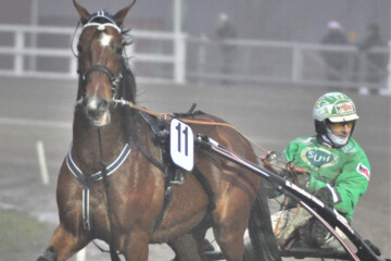 Don Williams ja Ari Moilanen