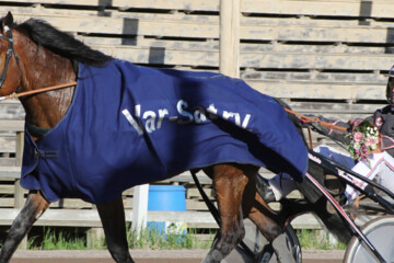 nieminen ravit cSataravit copy