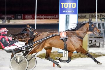 million lighyears kuva Seinöjoen ravikeskus