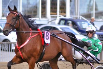 Willow Pride ja Moilanen copy
