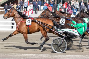 Willow Pride 16.4.2022 Lahti