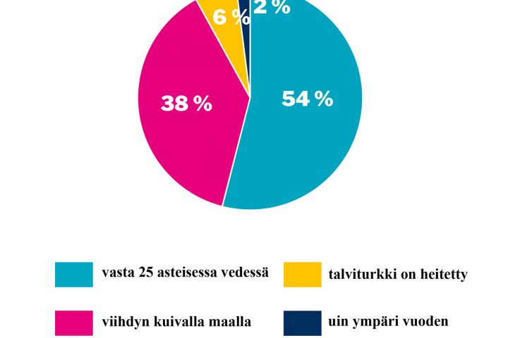 verkkosivujen piirakka oletko heittanyt talviturkin verkko