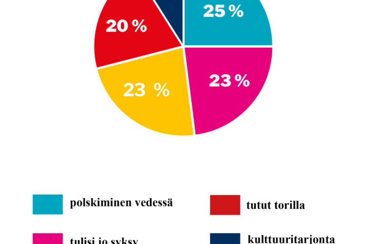 verkkosivujen piirakka viikko 29_ parasta Urjalan kesassa verkko