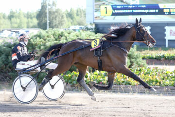 Utamaro Kemp KImmo Kemppi