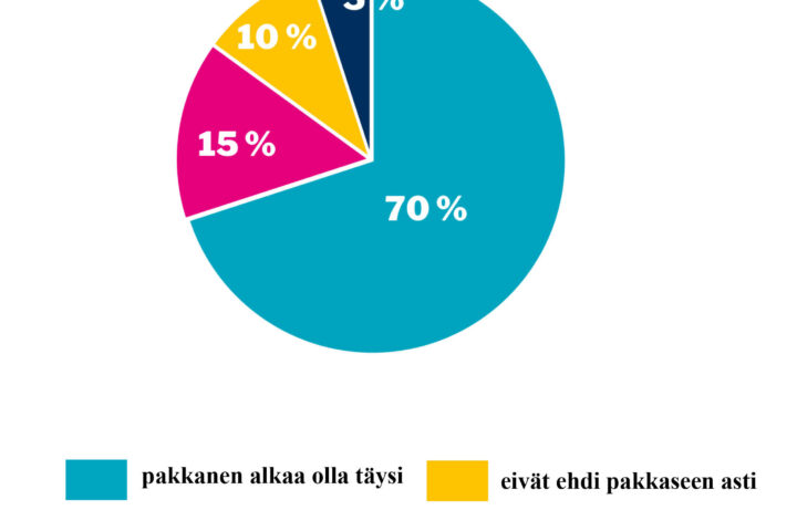 verkkosivujen piirakka viikko 35 vitamiinit verkko