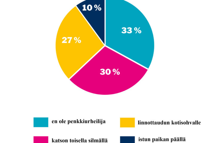 verkkosivujen piirakka viikko 36_ Ruotsi-ottelu verkko