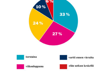 verkkosivujen piirakka viikko 45_ siivous_verkko