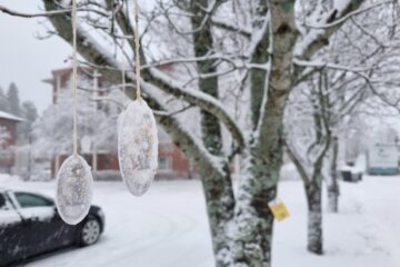 heijastinpuu
