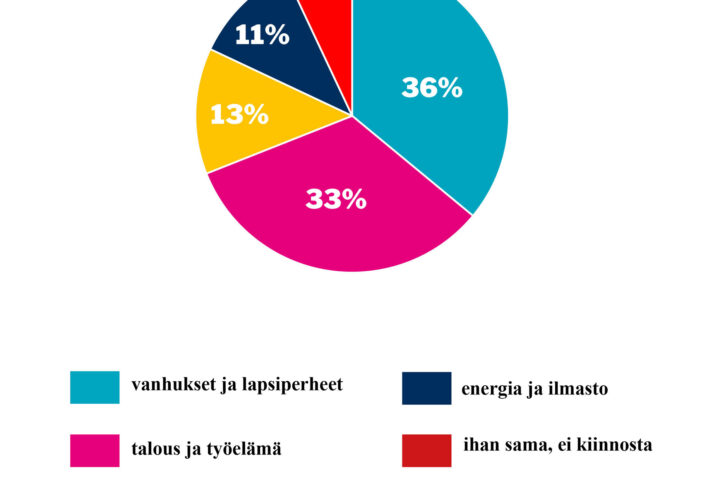 verkkosivujen piirakka viikko 5_ eduskuntavaalit