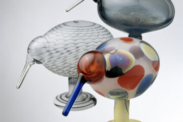 Kiwibirds15ALMIS