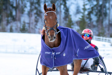 Roseland Santtu Raitala_Jokimaan ravikeskus