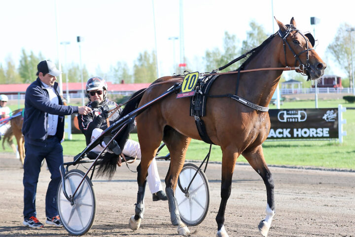 Markku Nieminen ajoi Porissa ykköseksi Art Flowerin ja päätyi Kauko Ketolan voittajahaastatteluun.