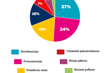verkko piirakka vk32_mita poimit
