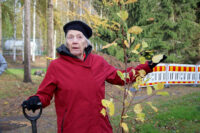 puun istutus Kerttu Nurminen1_HI