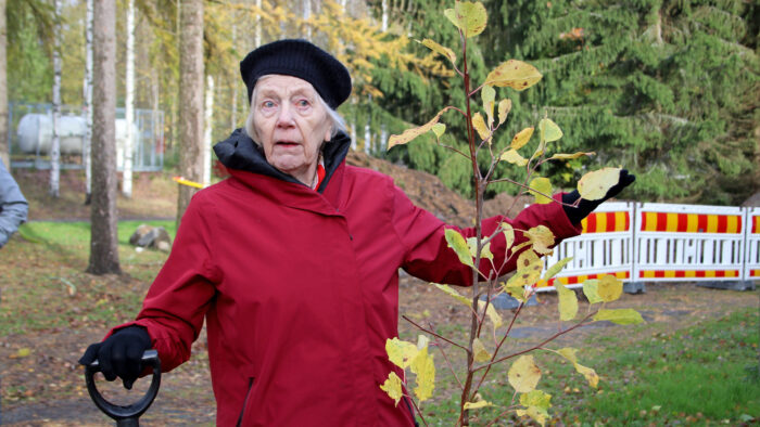 puun istutus Kerttu Nurminen1_HI