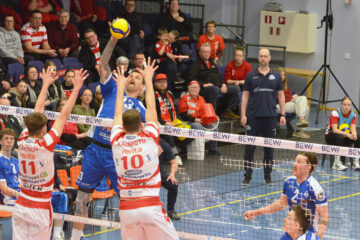 matej