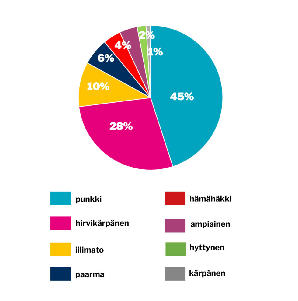 verkko viikon kysymys 26