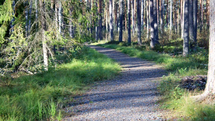 polku kuvitus seurakunta_HI