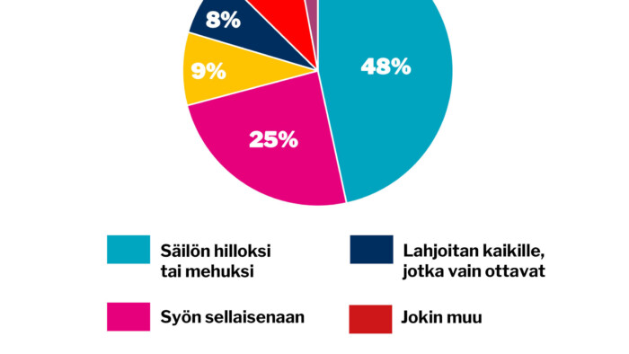 verkko viikon kysymys 37