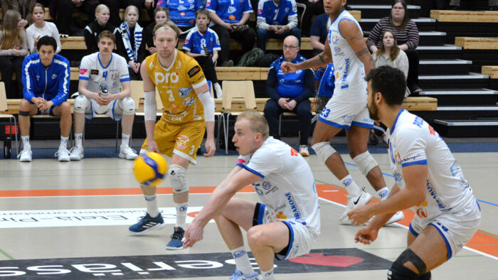 AVNiklas
