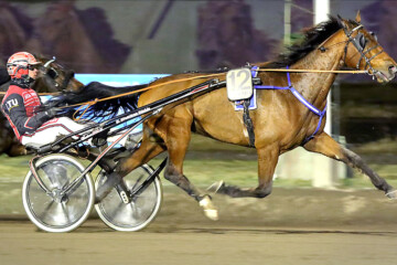 Goelan d haufor[17]_Vermon ravit
