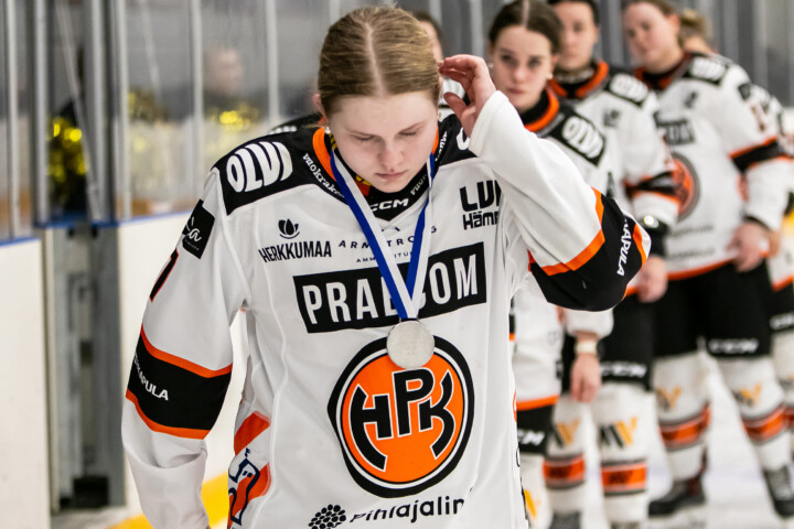 iirishamalainen