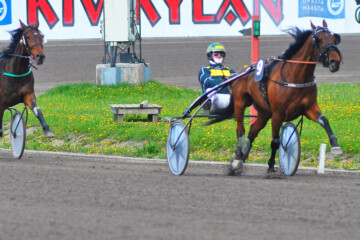 Crazy For You H Torvinen_Rauli Ala-Karvia