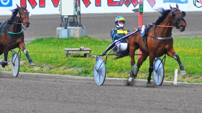 Crazy For You H Torvinen_Rauli Ala-Karvia