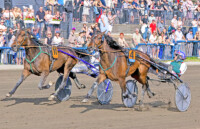 Royal Eagle O Koivunen Mint Match P Korpi Kouvolan ravirata 14.6.2025