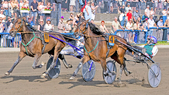 Royal Eagle O Koivunen Mint Match P Korpi Kouvolan ravirata 14.6.2025