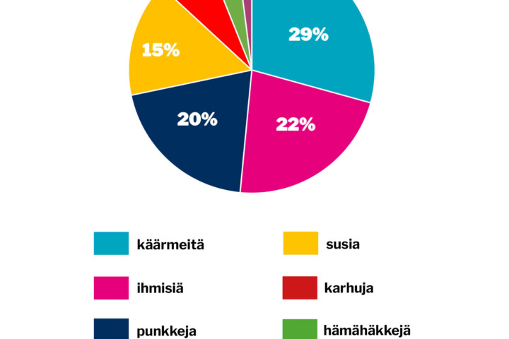 verkko viikon kysymys 23