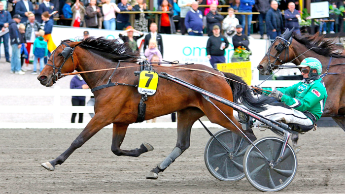 RAVITSilverStahlAriMOoilanenJOkinaan ra ikeskus