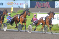 ravit