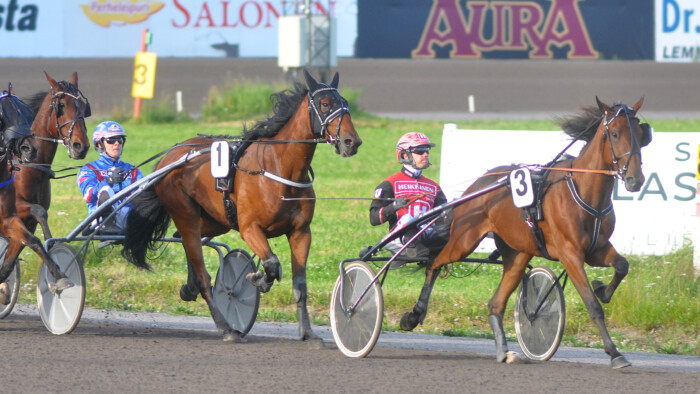 ravit