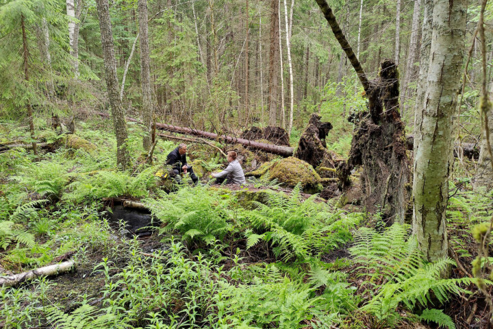 tuomo smatt ja timo huhtamaki