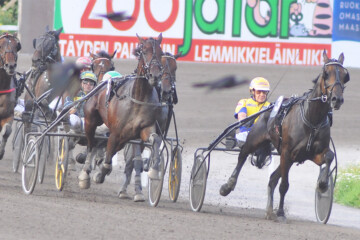 RAVITLabovicBoko