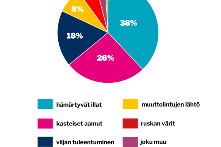 verkko viikon kysymys elokuu 2025 32
