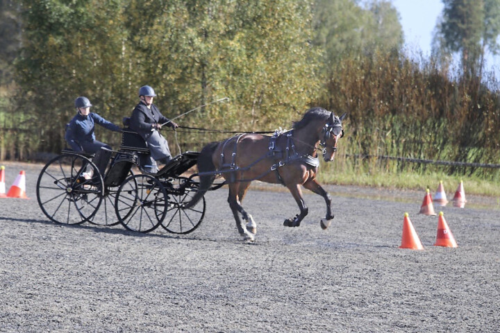 HEVOSKISAmax15