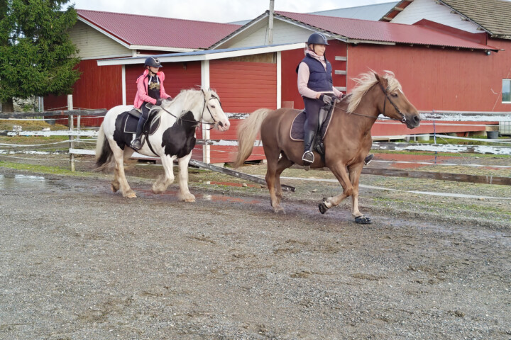 Pia Suvisaari-Nurminen ratsastaa kaverinsa Jenniinan kanssa samoissa treeneissä kerran viikossa. 