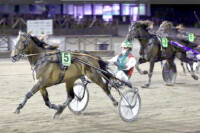 Vermo Royal eagle voittokuva_Vermon ravit