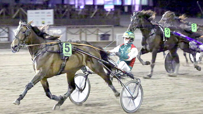 Vermo Royal eagle voittokuva_Vermon ravit